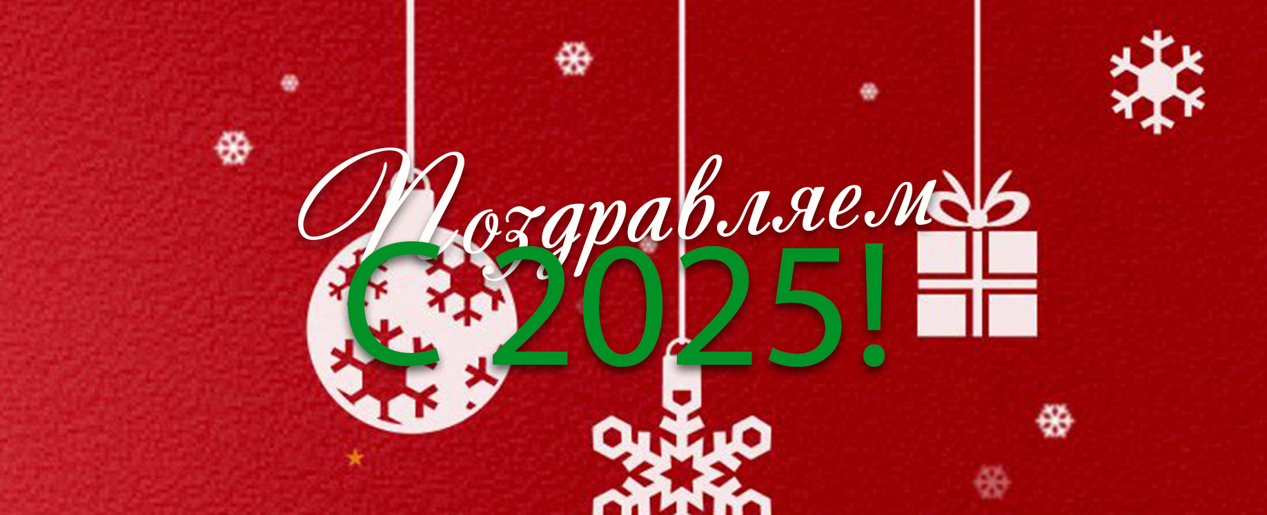 Подробнее о статье С Новым 2025 годом!